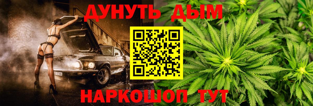 Канабис конопля Знаменск